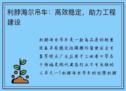 利脖海尔吊车：高效稳定，助力工程建设